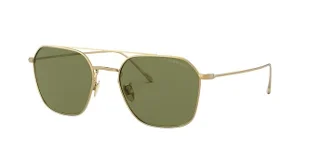 Giorgio Armani Sunglasses AR6095T