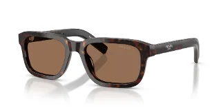 17N60M Root Tortoise