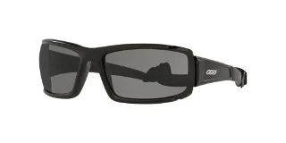 Ess Sunglasses EE9003