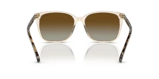 Ralph Sunglasses RA5293
