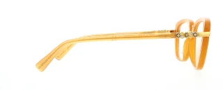 Coach Eyeglasses HC6106B