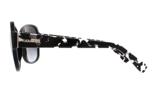 Coach Sunglasses HC8166 L154