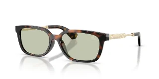 3002/2 Dark Havana