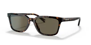 512003 Dark Tortoise