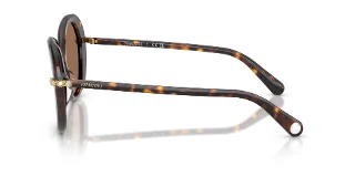 Swarovski Sunglasses SK6059F