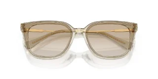 Swarovski Sunglasses SK6054D