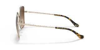 Coach Sunglasses HC7133