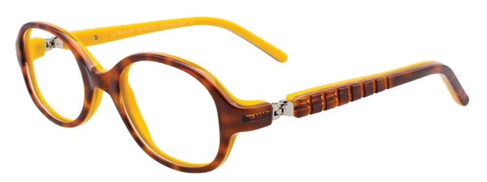 Easyclip Eyeglasses EC431