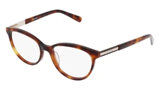 240 Soft Tortoise