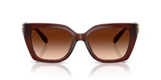 Coach Sunglasses HC8408U