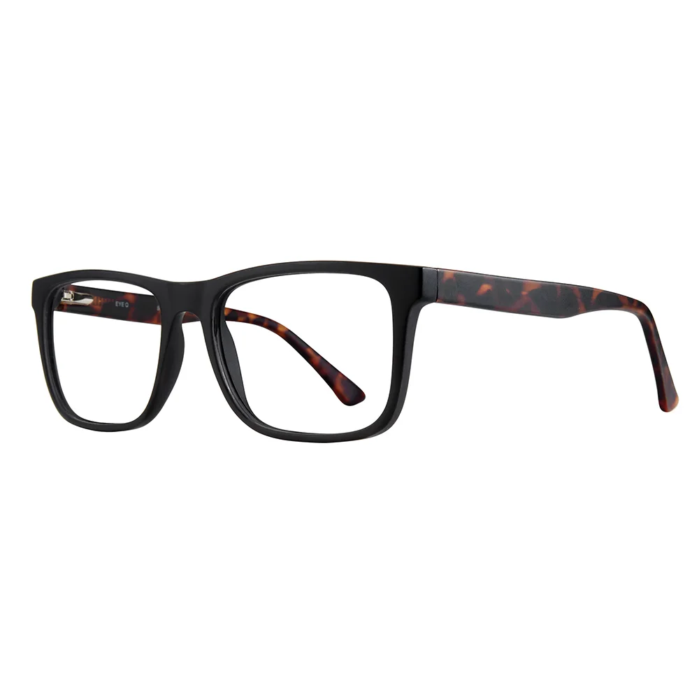 Stylewise Eyeglasses SW233