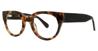 024  TORTOISE