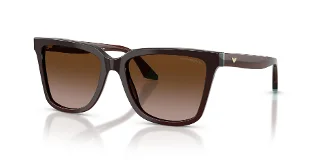 631813 Transparent Brown/Teal