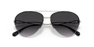 Coach Sunglasses HC7124