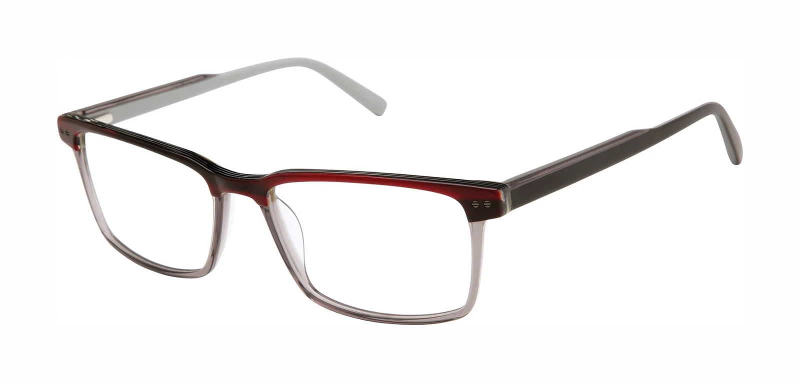 Ted Baker Eyeglasses TXL012