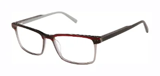 Ted Baker Eyeglasses TXL012
