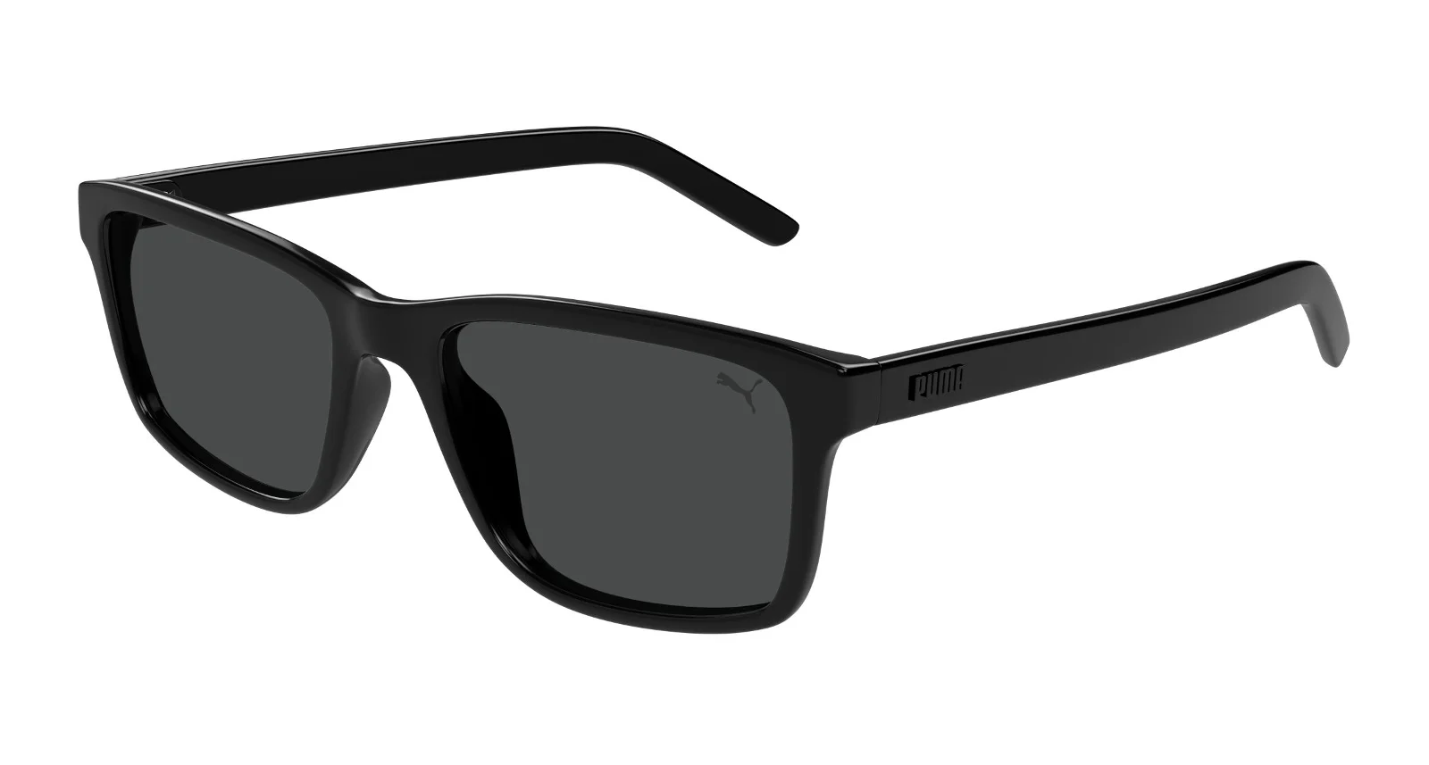 Puma Sunglasses PU0493S