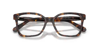 Swarovski Eyeglasses SK2061F