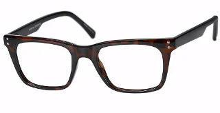 Dark Tortoise