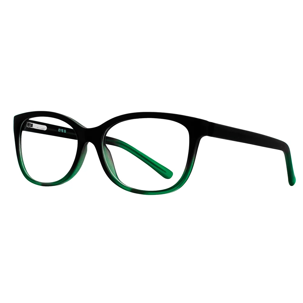 Stylewise Eyeglasses SW448
