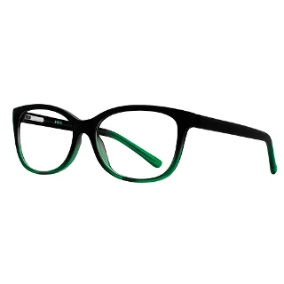 Stylewise Eyeglasses SW448