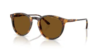 513483 Shiny Antique Havana