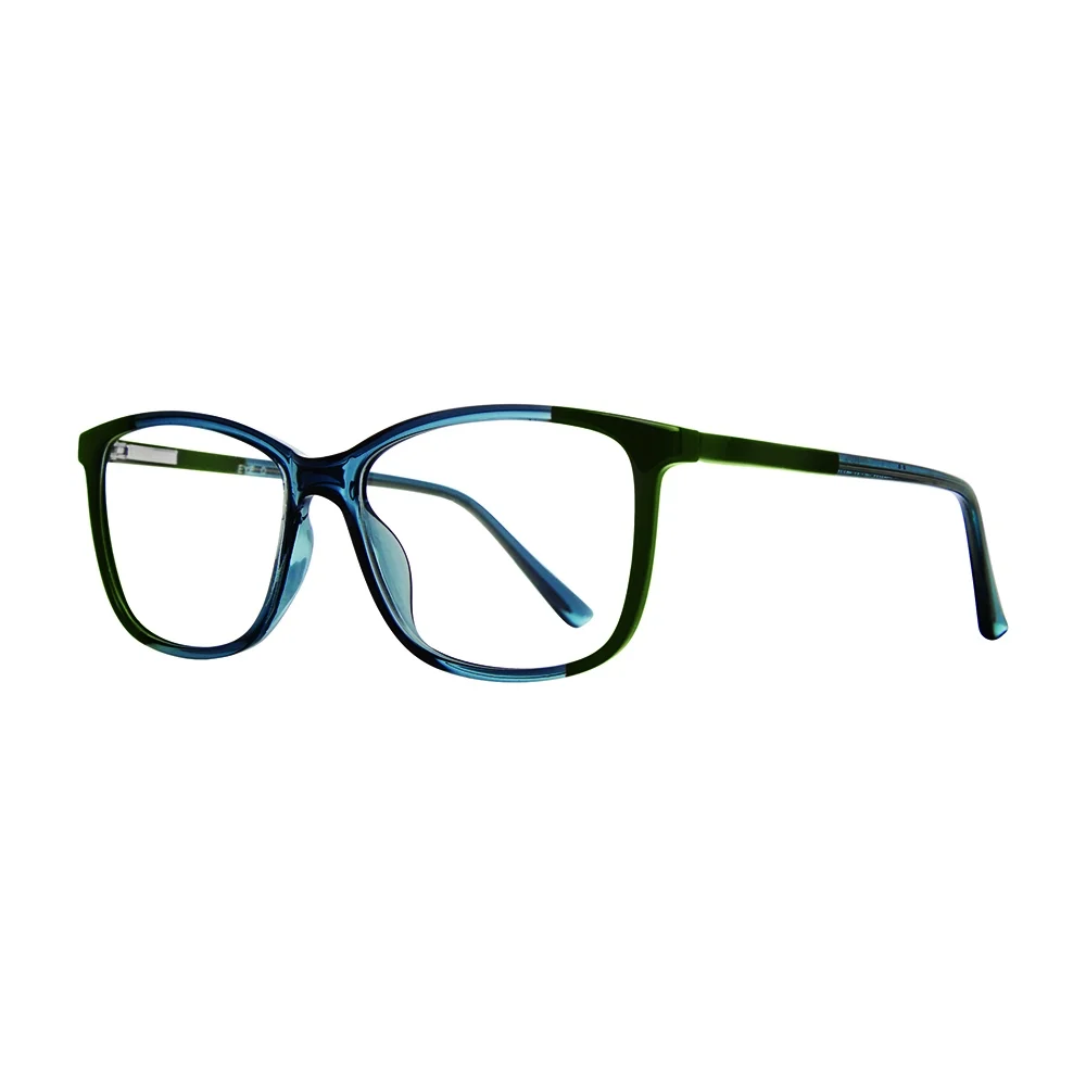 Georgetown Eyeglasses GTN809