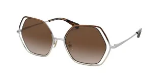 933913 Shiny Brown/Silver/Light Gold