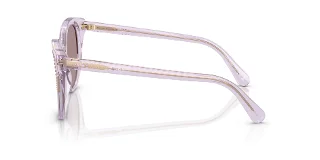 Swarovski Sunglasses SK6031