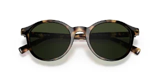 Coach Sunglasses HC8312U