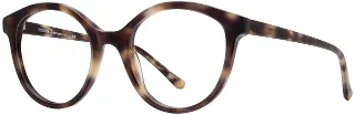 C02 Sand Tortoise