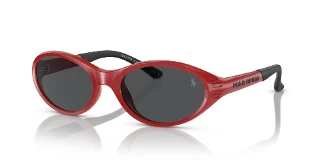 Polo Sunglasses PH4197U