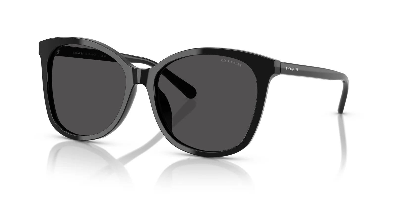 Coach Sunglasses HC8271U