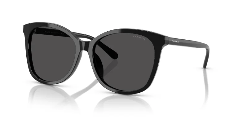 Coach Sunglasses HC8271U