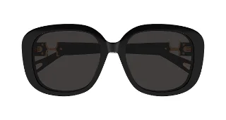 Chloe Sunglasses CH0303SK
