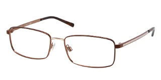 9239 Brown