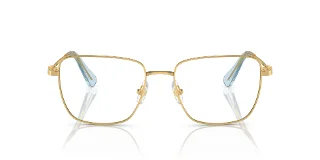 Swarovski Eyeglasses SK1003
