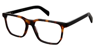 C02 Tortoise