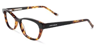 Black  Tortoise