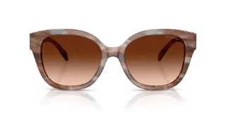 Coach Sunglasses HC8438U