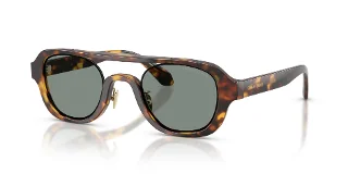 6331/1 Brown Tortoise