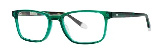 Penguin Eyeglasses THE POTTER JR