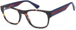 Tortoise Blue Red