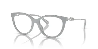 51971W Shiny Grey