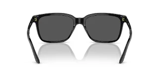 Versace Sunglasses VE4307