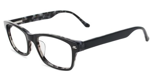 Rembrand Eyeglasses S311