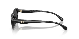 Coach Sunglasses HC8456D