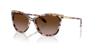 146313 Pink Tortoise