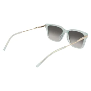 Dkny Sunglasses DK713S