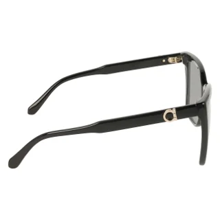 Salvatore Ferragamo Sunglasses SF2085SE